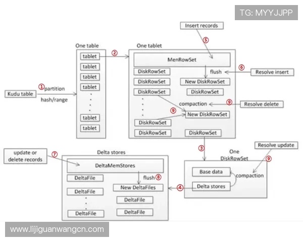 深入解析菲律宾欧博代理商管理系统的核心功能与操作流程指南 深入解析菲律宾欧博代理商管理系统的核心功能与操作流程指南